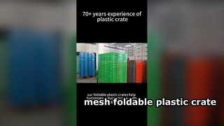 米国顧客向けのメッシュ折りたたみプラスチック箱梱包省スペース再利用可能な物流ソリューション