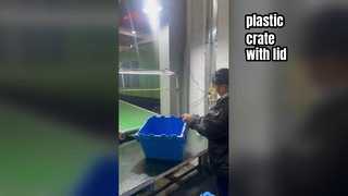蓋付きプラスチック箱の製造工程 |工場工房見学
