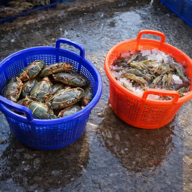 最新の企業ブログについて What Should Buyers Check When Evaluating a Plastic Shrimp Basket Sample?